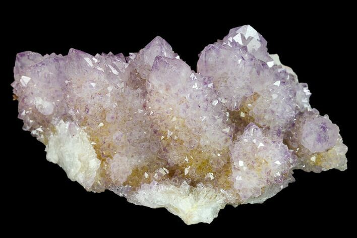 Cactus Quartz (Amethyst) Crystal Cluster - South Africa #134339